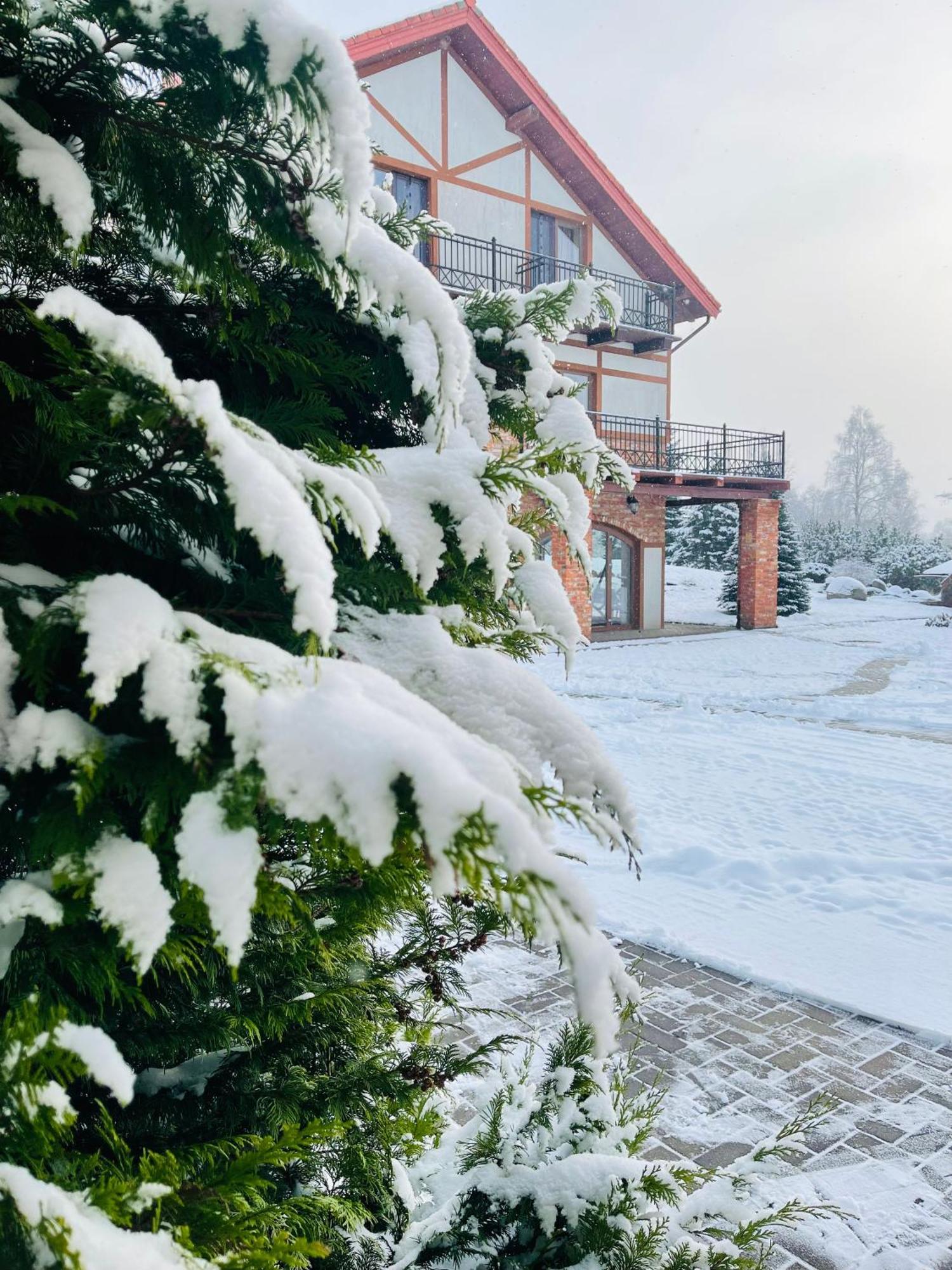 Hotel Jurvinge à Zadvainai Extérieur photo
